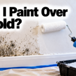 Can I Paint Over Mold?