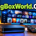 MagBoxWorld.Com